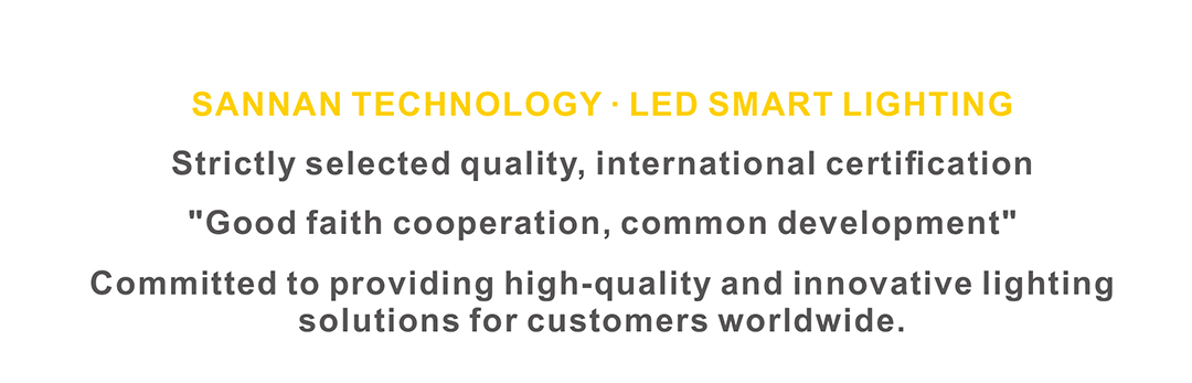 SANNAN COMING-APPPEXPO 2026 in SHANGHAI SANNAN COMING-APPPEXPO 2026 in SHANGHAI